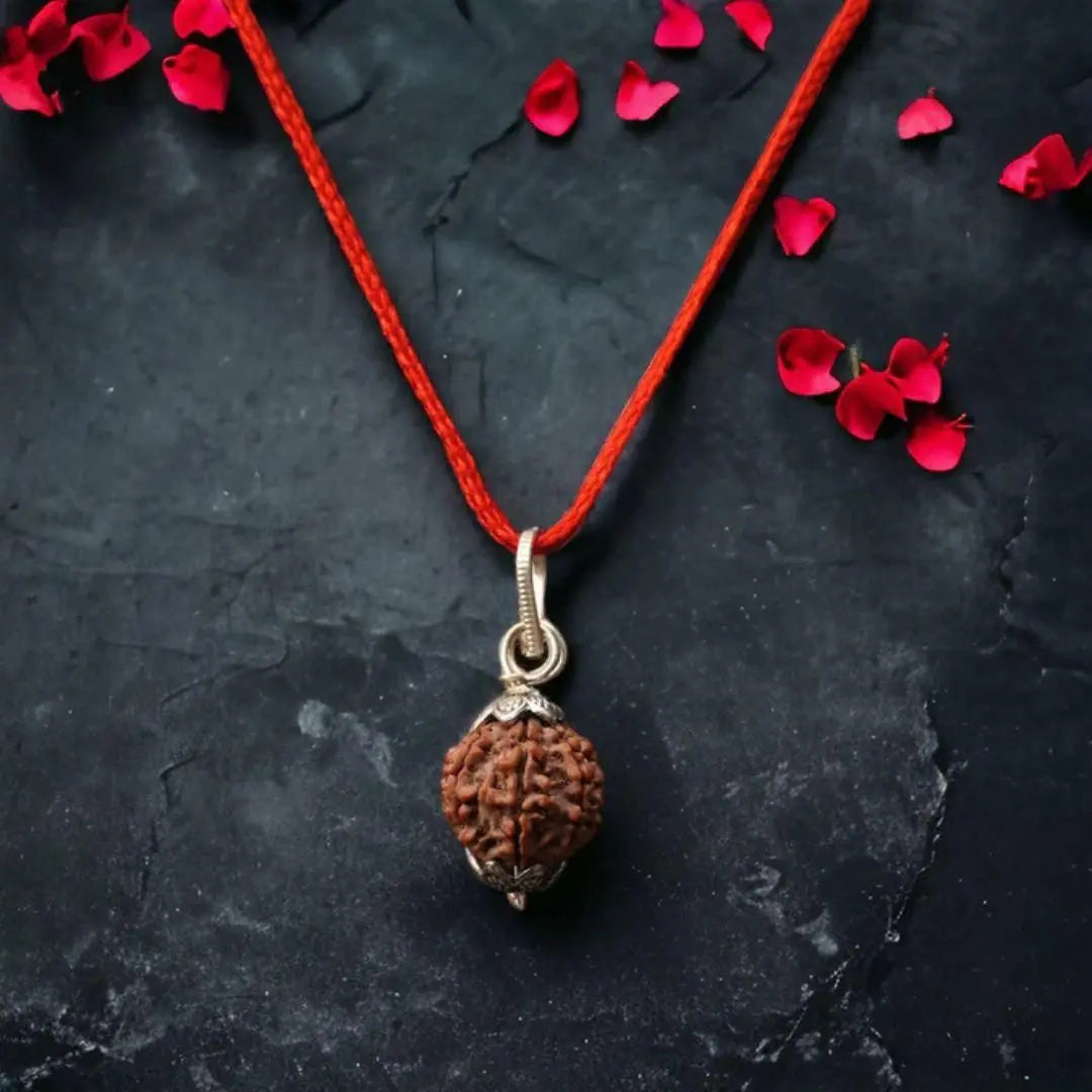 7 Mukhi Nepali Rudraksha dpghsf-q0