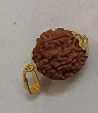 7 Mukhi Nepali Rudraksha dpghsf-q0